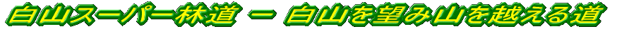白川スーパー林道