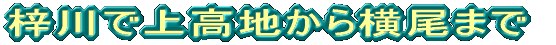 梓川で上高地から横尾まで